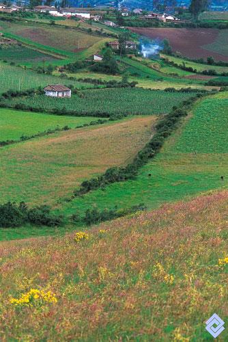 Banco de Occidente . En el altiplano de Túquerres, las zonas