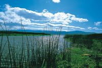 Altiplano de Ubat y Chiquinquir. Laguna de Fquene.