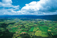 Altiplano de la Sabana de Bogot. Valle de Tenjo.