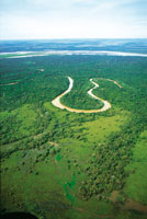 En Colombia, la selva de transición Orinoquia-Amazonia presenta diversidad de ambientes en un mosaico de selvas y sabanas cuyo verano es más prolongado -de 2 a 3 meses-, que el que se presenta en el interior de la selva amazónica.