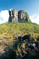 Miles de aos de erosin modelaron la roca grantica en forma de torreones aislados sobre la serrana de Chiribiquete. El dficit de nutrientes slo permite el desarrollo de una selva achaparrada. Se destacan las Bromeliceas, arbustos xerfilos y gramn