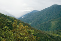 
La humedad que proviene de la Amazonia, penetra en los valles y montaas de la vertiente andina, creando un ambiente favorable para el desarrollo de exuberantes selvas de montaa tropical. 
