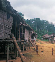 Los asentamientos humanos están conformados por pequeños caseríos de indígenas emberas, waunanas y tule y población de raza negra, la más característica y numerosa del Chocó y del Urabá antioqueño. La subsistencia de estos grupos está basada en la pesca a