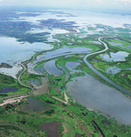 La depresin Momposina y la regin de la Mojana, por recibir aportes del Magdalena, el Cauca, el San Jorge y el Cesar, son reas muy importantes para la regulacin fluvial y lacustre en el Bajo Magdalena.