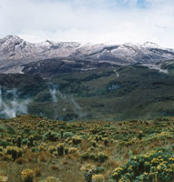 Pramo de la cordillera Central, al fondo se pueden apreciar las altas cumbres del volcn nevado del Ruiz.