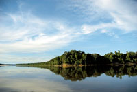 La Amazonia es una de las regiones con mayor riqueza hídrica del mundo. Río Inírida.