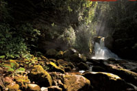 El aire se carga de iones negativos por la fricción del agua al caer y produce en el cuerpo una agradable sensación de bienestar, que invita a la contemplación y al descanso. Una de las cascadas del río Sueva, Cundinamarca.