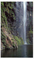 En las inmediaciones de Palo de Letras y el alto del Limón en la frontera con Panamá hay innumerables cascadas dentro de las que se destacan el Tilupo, el Tendal y la Tigrera.