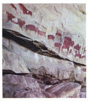 Los antiguos pobladores de la Amazonia, realizaron en las rocas una gran cantidad de pictografías, a través de las cuales plasmaron su relación con la naturaleza.