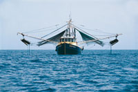 Actualmente, tanto en el Caribe como en el Pacfico, las compaas pesqueras colombianas han tecnificado sus mtodos de extraccin. Sin embago, debido a malas prcticas, en algunas oportunidades la pesca acompaante es muy alta, lo cual causa un enorme da