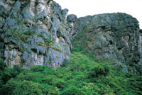 Bloques de rocas areniscas de la Formacin Guadalupe, resultado del levantamiento de la cordillera Oriental. Sueca, Cundinamarca.