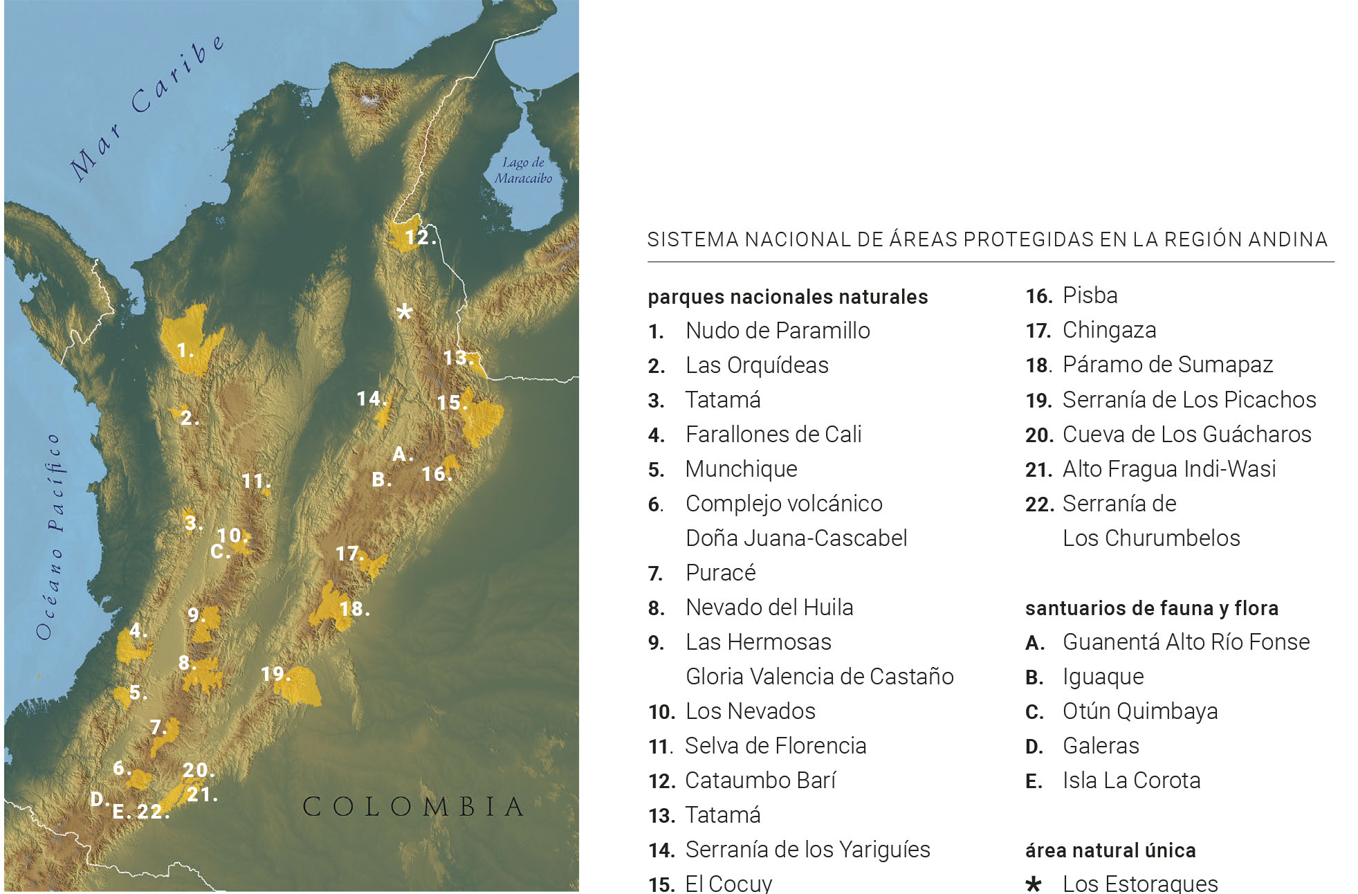 Region Andina De Colombia Todo Lo Que Debes Saber De Ella 2022 Images