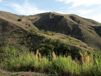 Paisaje intervenido en el enclave seco del can del ro Dagua.