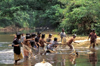 Indgenas pescando en una quebrada en el alto San Juan.