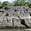 <strong>Petroglifos en el raudal de Angostura I del río Guayabero, al sur de la serranía de La Macarena.</strong>Fotografía: Angélica Montes Arango
