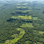 <strong>El avance de los frentes de colonización constituye una de las mayores amenazas para el mantenimiento de la cobertura de bosques naturales en la región del Escudo Guayanés.</strong>Fotografía: Archivo iM Editores
