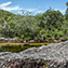 <strong>Las áreas protegidas buscan salvaguardar la integridad ecológica, los servicios ecosistémicos y los valores culturales asociados. Caño Cristales en el Parque Nacional Natural Serranía de La Macarena.  </strong>Fotografía: Angélica Montes Arango