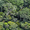 <strong>En el Parque Nacional Natural Serranía de La Macarena confluyen elementos biológicos de las regiones Andina, Orinoquia, Amazonia y Escudo Guayanés.</strong>Fotografía: Angélica Montes Arango