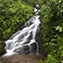 <strong>El agua es imprescindible para todos los seres vivos y conecta los ecosistemas. Cascada en la Reserva de Aguas de Manizales, Cordillera Central.</strong>Fotografía: Archivo iM Editores