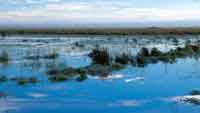 Sabana inundada.