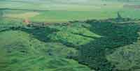 Regin de contacto entre la altillanura plana y la disectada o colinada. Alto de Menegua, Meta.