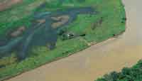 Paisaje de la planicie de inundacin del ro Meta durante la temporada de lluvias.