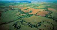 Con avanzada tecnologa agrcola y maquinaria adecuada, una amplia superficie de las sabanas se ha transformado en un mosaico agrcola arrocero que ha eliminado la mata de monte.