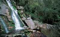 La vertiente andina recibe una copiosa precipitacin que da origen a diversas fuentes hdricas, cuya coloracin se debe al aporte de sustancias hmicas del bosque.
