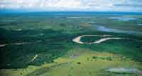 La llanura de inundacin, con sabanas y selvas riparias inundables, es uno de los ecosistemas ms diversos del llano y es considerado uno de los humedales estacionales de mayor extensin.