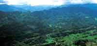 La profunda diseccin del sustrato cre formas de relieve rodeadas por la exuberante vegetacin de la selva del piedemonte.