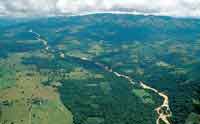 La selva del piedemonte slo se conserva en las mrgenes de  ros y caos y en franjas  reducidas y fragmentadas, porque ha sido fuertemente intervenida para el establecimiento de pastizales para ganadera.