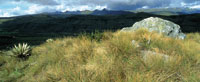 Panormica del pramo de Sumapaz, Cundinamarca.