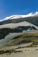 Paisaje del superpramo, con el volcn Nevado del Ruiz al fondo.