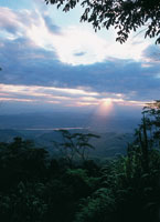 Valle medio del Magdalena.