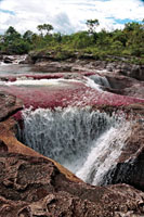Caño Cristales es uno de los más bellos del país, por el trabajo del agua sobre la roca y su fondo  tapizado por plantas acuáticas de colores vistosos.