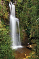 La cascada El Chiflón en el departamento de Cundinamarca, tiene 70 metros de altura. En verano es tan sólo un pequeño cordón de agua.