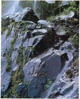 Formación rocosa en la Serranía de Macuira.