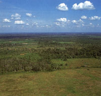 Llanos orientales de Colombia. Una de las geoformas características del país.