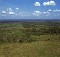 Llanos orientales de Colombia. Una de las geoformas caractersticas del pas.