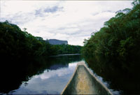 Rio Guainía, en el sector norte de la serranía el Naquén.